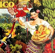Mexico Postcard Unused Unposted Tropical Splendor Vintage Poster Reprint... - £11.94 GBP