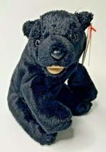 2000 Ty Beanie Baby "Cinders" Retired Black Bear BB1 - $9.99