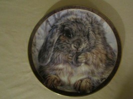 Bunny Rabbit Collector Plate Vivi Crandall &quot;Quite An Earful&quot; Bunny Tales #9 - £20.09 GBP
