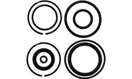 Trim O-Ring and Seal Kit for Johnson Evinrude replaces 0174520 - $39.95