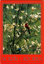 Vtg Postcard North Carolina Flowering Dogwood and Red Cardinal Greetings - £5.19 GBP