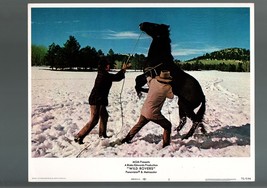 Wild ROVERS-1971-LOBBY CARD-FN/VF-WESTERN-WILLIAM HOLDEN-RYAN O&#39;neal Vf - £17.17 GBP