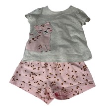 Child of Mine by Carter's Size12M 2Pc. Leopard Outfit Pink & Gray - £6.32 GBP