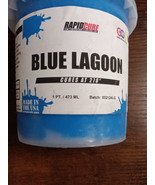 Blue Lagoon Rapid Cure Low Temp Cure 270F - 1 Pint - 16oz 649 Kb - $493.98 MXN