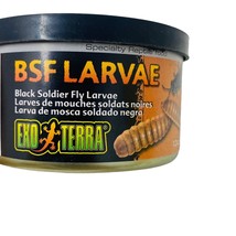 Exo Terra BSF Larvae 1.2oz. Black Soldier Fly Larvae exp. 03/17/2024 - £3.87 GBP