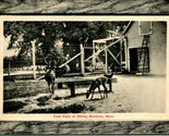Vtg Cartolina 1911 Mankato Minnesota Mn Cervo Park At Sibley Simil Legno... - $15.31