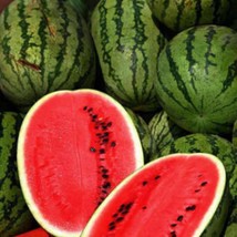 Cal Sweet Supreme Watermelon Seeds 25 Fruit Melon Heirloom Non-Gmo Fresh Garden  - £6.15 GBP