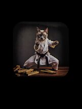 Glossy Refrigerator Magnet – Karate Cat – Funny Martial Arts Cat Magnet - $4.70