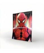 Spider-Man 3D Holographic Lenticular 3 In 1 Poster ~ &quot; Unframed - $15.84