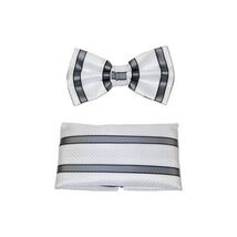 Men's Fancy Bow Tie/Hankie Set By J.Valintin Soft Microfiber Silky JVBT-... - $17.50