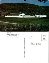 New York(NY) Naples Widmer Wine Cellars Lake Niagara Winery Vintage Postcard - £7.51 GBP