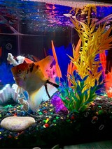 Remote Controlled Fish Tank LED Lights with 20 Color and Motion Options - £19.77 GBP+