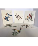 Sherm Pehrson Portfolio of Song Birds 6 Art Prints Nature Cardinal Chick... - £15.97 GBP