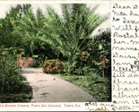 Vtg Carte Postale 1907 Vieux Espagnol Cannon - Tampa Bay Grounds Tampa,F... - $12.24