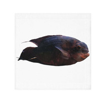 Red Black Fish Face Towel - £13.54 GBP
