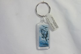 Disney Keychain (new) THE FORCE AWAKENS - CLEAR FOB W/STORM TROOPER PIC ... - $11.62
