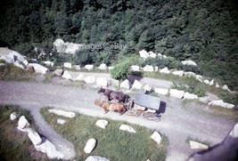 1974 Lake Mohonk Mountain House Horse &amp; Carriage New York Kodachrome 35mm Slide - £2.77 GBP
