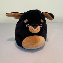 Squishmallows 8&quot; Mateo Black Brown Rottweiler Dog Kellytoy 02/2020 - £17.17 GBP