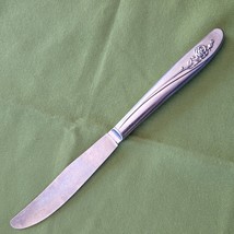 Modern Hollow Dinner Knife Roseanne Pattern Oneida Custom Stainless 8 5/8&quot; - £2.32 GBP