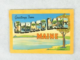 Sebago Lake Maine ~ Fold-out Souvenir Postcard Book, 18 Collectible Pict... - £11.45 GBP