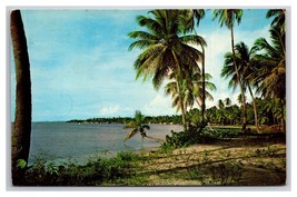 Beach Scene At Guanajibo Near Mayaguez Puerto Rico UNP Chrome Postcard Z10 - £3.58 GBP