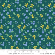 Moda COTTAGE BLEU Pond 48693 15 Quilt Fabric By The Yard - Robin Pickens - £8.70 GBP