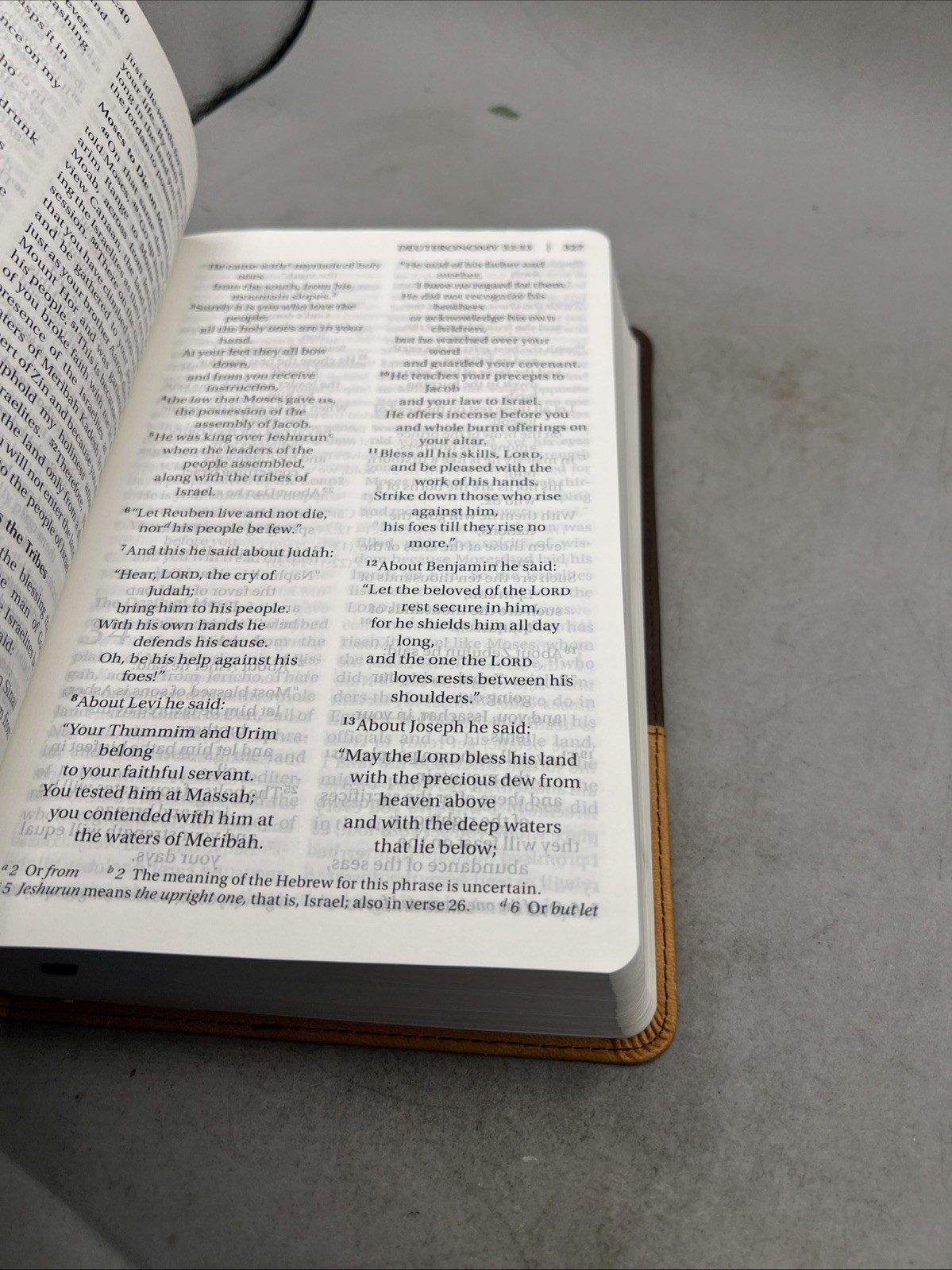NIV Church  Holy Bible, Large Print By Zondervan 2011, Leather Back Item image 11