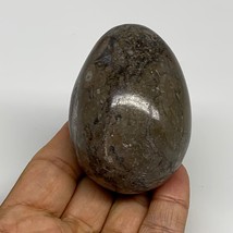192.5g, 2.5&quot;x1.8&quot;, Natural Fossil Orthoceras Stone Egg from Morocco, B31059 - £6.27 GBP