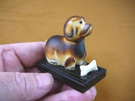 (tn-dog-600) brown DOG puppy TAGUA NUT Figurine Carving Vegetable dogs play bone - £11.95 GBP