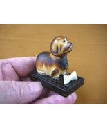 (tn-dog-600) brown DOG puppy TAGUA NUT Figurine Carving Vegetable dogs p... - €12,46 EUR