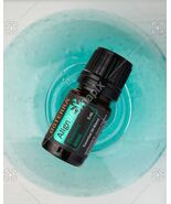 doTERRA Align 5mL  NEW &amp; SEALED Exp 06/26 - $20.00