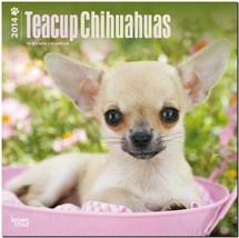 Teacup Chihuahuas 2014 18-Month Calendar (Multilingual Edition) - £6.99 GBP