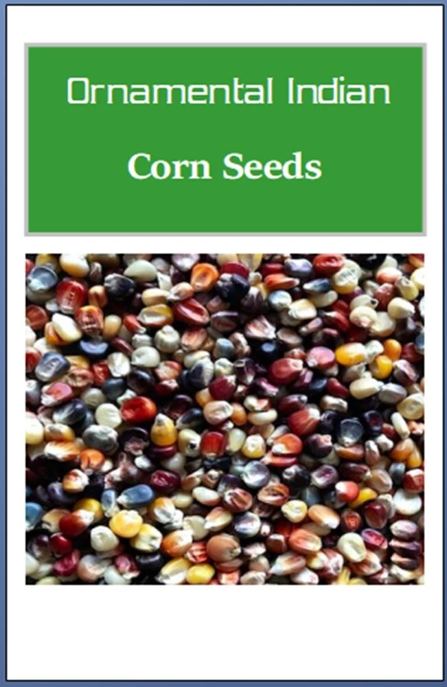 Ornamental Indian Corn Seeds  | Heirloom | Fresh Garden Seeds - $15.10