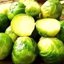 SEPT Long Island Brussels Sprouts Seeds Fresh Garden Seeds - £4.42 GBP