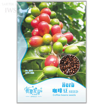 Heirloom Colorful Coffee Bean Seeds, Original Pack, 10 seeds, high medicinal val - £4.36 GBP