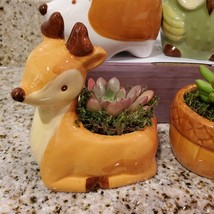 Deer Planter with Succulent, Ceramic Animal Plant Pot with live plant, Bambi pot - £14.42 GBP