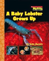 A Baby Lobster Grows Up (Scholastic News Nonfiction Readers) by Katie Marsico -  - £15.41 GBP