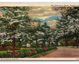 Dogwood Flowers In Bloom Atlanta Georgia GA Linen Postcard N25 - £2.80 GBP