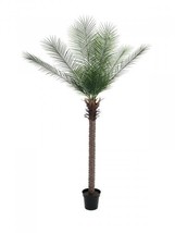 EUROPALMS Phoenix Palm Deluxe, Artifical Plant 220cm - £333.64 GBP