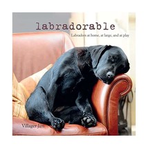 Labradorable: Labradors at Home, at Large, and at Play Villager Jim - £9.71 GBP