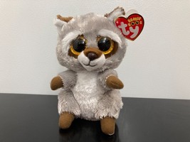 **Oakie* 2021 Ty Beanie Boo ~ 6&quot; Raccoon~ MWMT! ~ Very Cute!!~ - $5.90