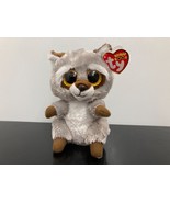 **Oakie* 2021 Ty Beanie Boo ~ 6&quot; Raccoon~ MWMT! ~ Very Cute!!~ - £4.63 GBP