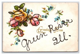Generic Floral Greetings Roses Green River Illinois IL DB Postcard w Micah Z2 - £6.37 GBP