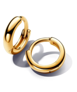 Essence 14k Gold-plated hoop earrings 263286C00 - $18.50