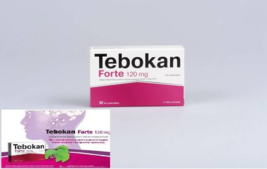 An item in the Health & Beauty category: TEBOKAN FORTE 120MG Ginko Biloba Extract - Memory,Concentration & Alertness X30