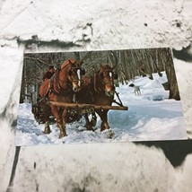 Vintage Postcard Maple Sugar Time In Vermont Horses Pulling Sleigh In Th... - $6.92