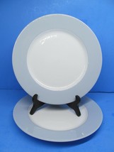 IKEA Susan Pryke 365+ Gray &amp; White Porcelain 10.5&quot; Dinner Plates Bundle of 2 - £23.12 GBP
