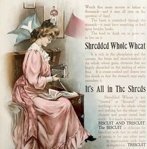 1905 Shredded Wheat Niagara Falls NY Advertisement Lithograph School Art... - $49.99