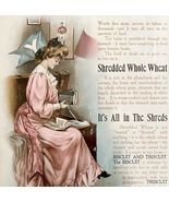 1905 Shredded Wheat Niagara Falls NY Advertisement Lithograph School Art... - €42,92 EUR