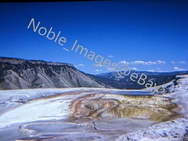 1963 Grassy Spring in Mammoth Hot Yellowstone Park Wyoming 35mm Slide - £4.27 GBP